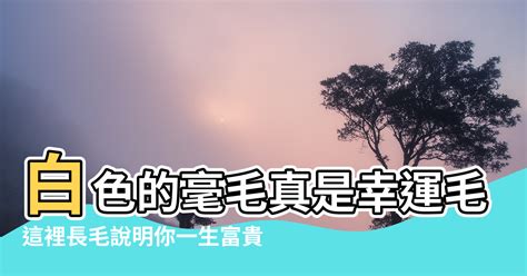 膝蓋毛|【膝蓋有毛】膝邊長毛，財富滿盈！富貴命徵兆，不容錯過！ – 葛。